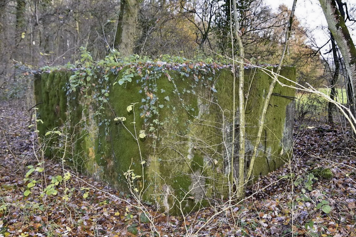 Ligne Maginot - CB171 - YELLE 01 - (Blockhaus pour arme infanterie) - Façade de l'entrée