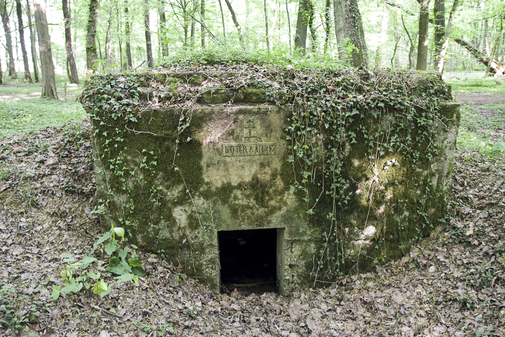 Ligne Maginot - CB117-C - OBERHEIDE 03 - (Blockhaus pour arme infanterie) - La Croix de Lorraine au-dessus de l'entrée est bien visible - Michel Teiten