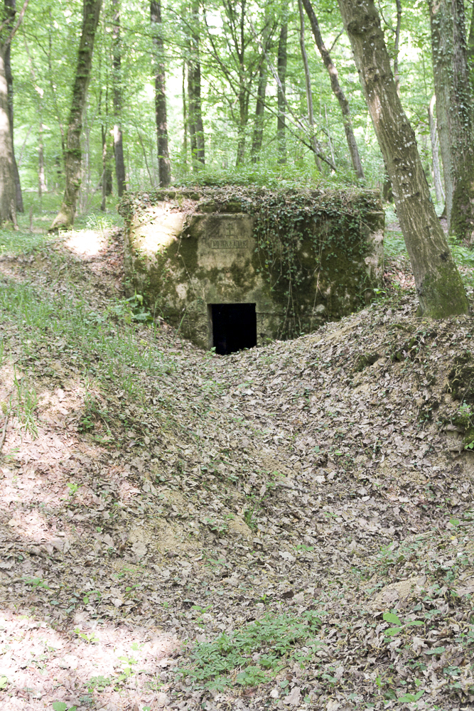 Ligne Maginot - CB117-C - OBERHEIDE 03 - (Blockhaus pour arme infanterie) - On voit bien les vestiges des tranchées menant à l'observatoire - Michel Teiten