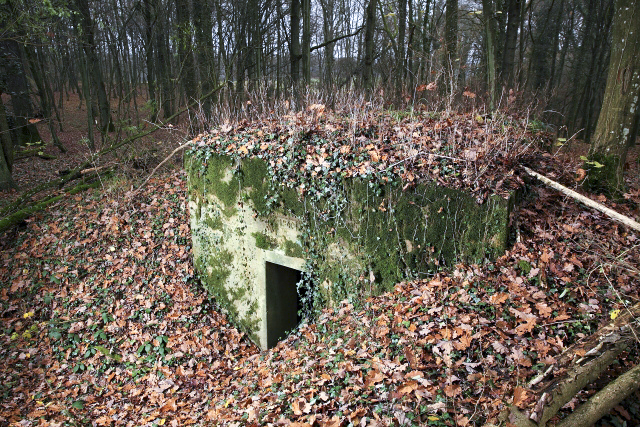 Ligne Maginot - CB119-C - OBERHEIDE 01 - (Blockhaus pour arme infanterie) - 