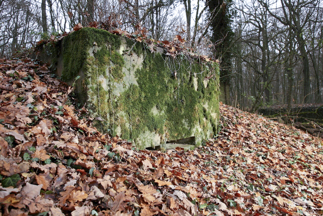 Ligne Maginot - CB119-C - OBERHEIDE 01 - (Blockhaus pour arme infanterie) - 