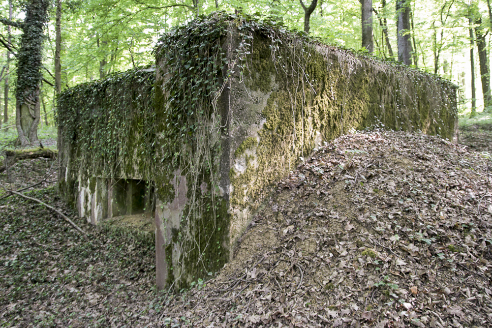 Ligne Maginot - CB118-C - OBERHEIDE 02 - (Blockhaus pour canon) -  - Michel Teiten