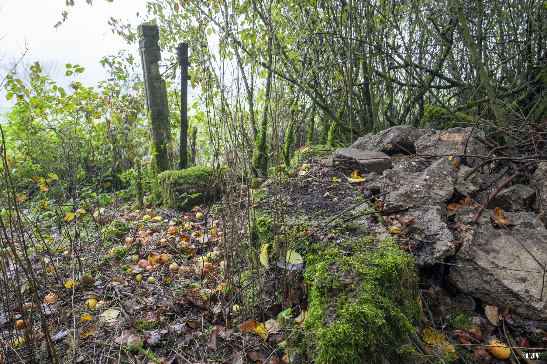 Ligne Maginot - AVANCEES DE LACROIX - (Poste GRM - Maison Forte) - Débris du blockhaus - Lia VERMEULEN