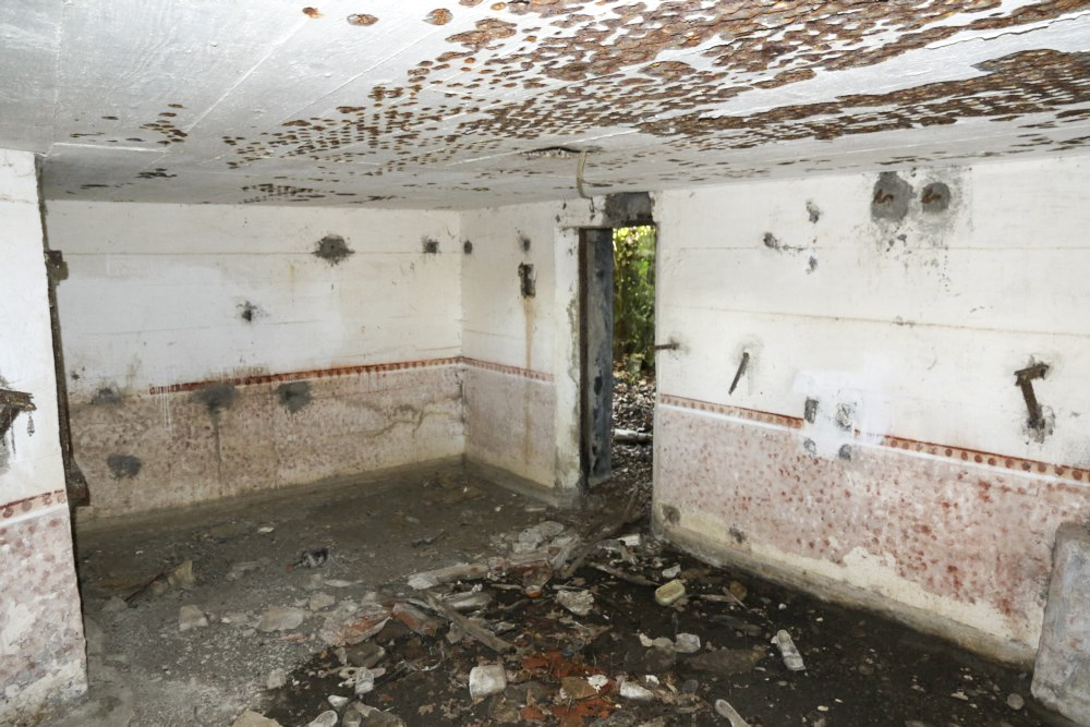 Ligne Maginot - BB12 - KEMPLICH SUD - (Blockhaus pour canon) -                    