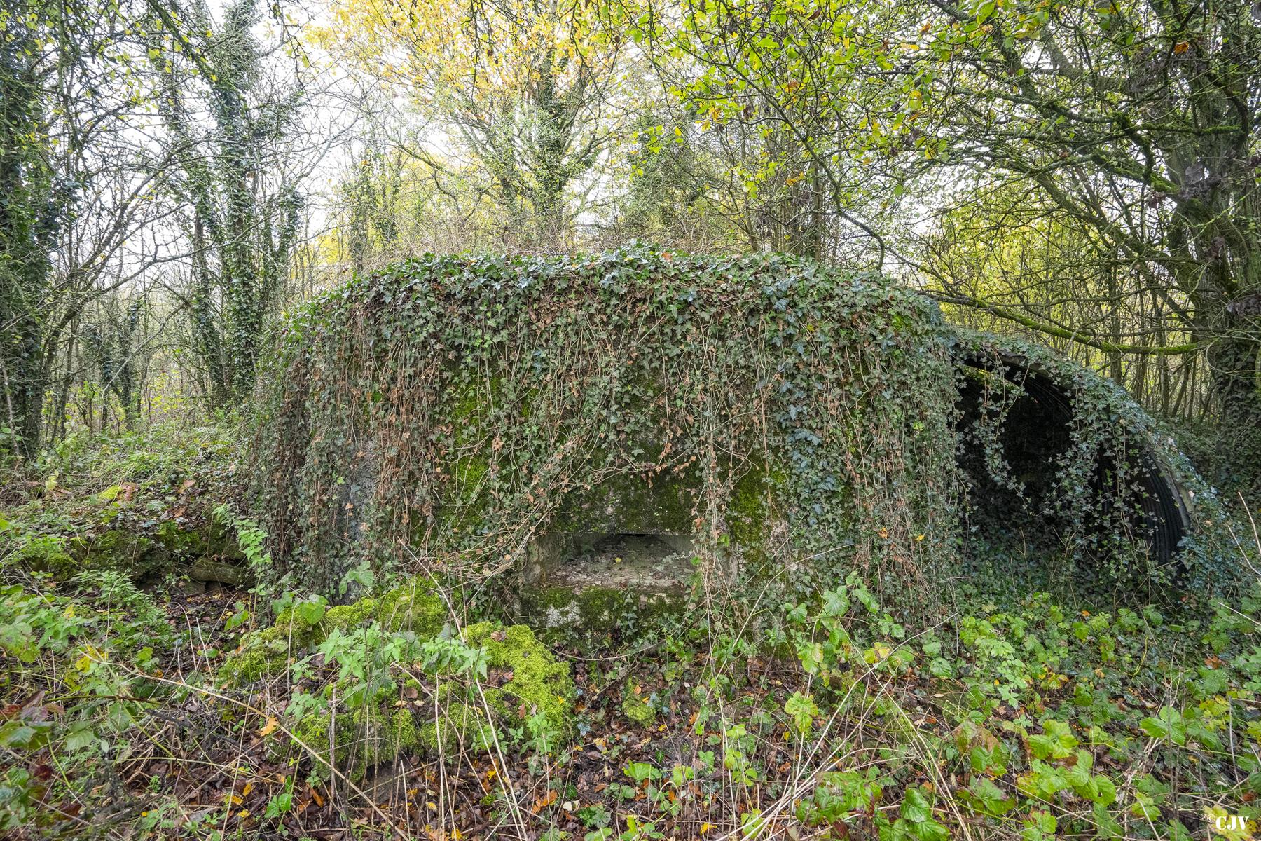 Ligne Maginot - BB12 - KEMPLICH SUD - (Blockhaus pour arme infanterie) -  - Lia VERMEULEN