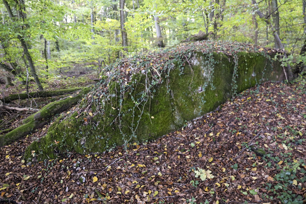 Ligne Maginot - BB308BIS - (Blockhaus pour arme infanterie) - Le bloc est partiellement détruit - Alain Perouffe
