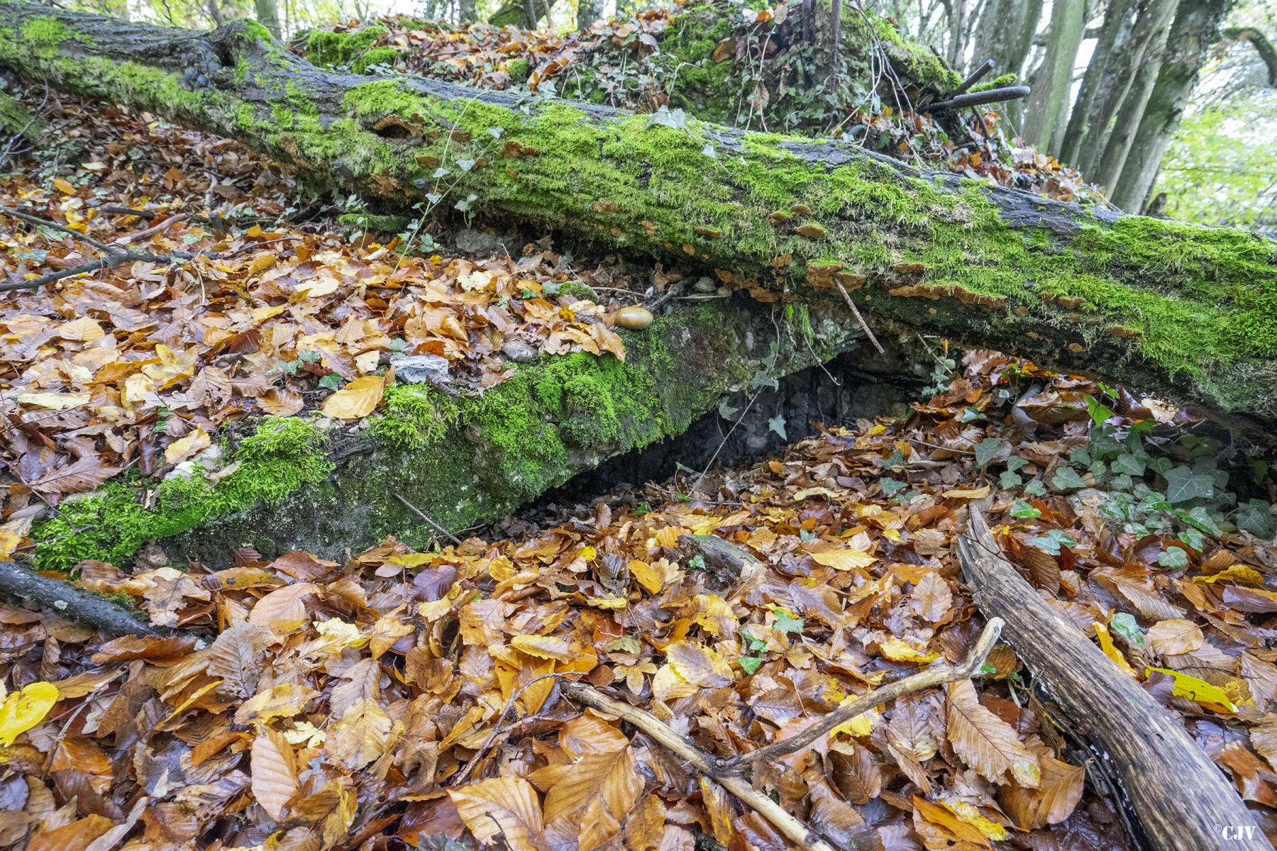 Ligne Maginot - BB308BIS - (Blockhaus pour arme infanterie) -  - Lia VERMEULEN