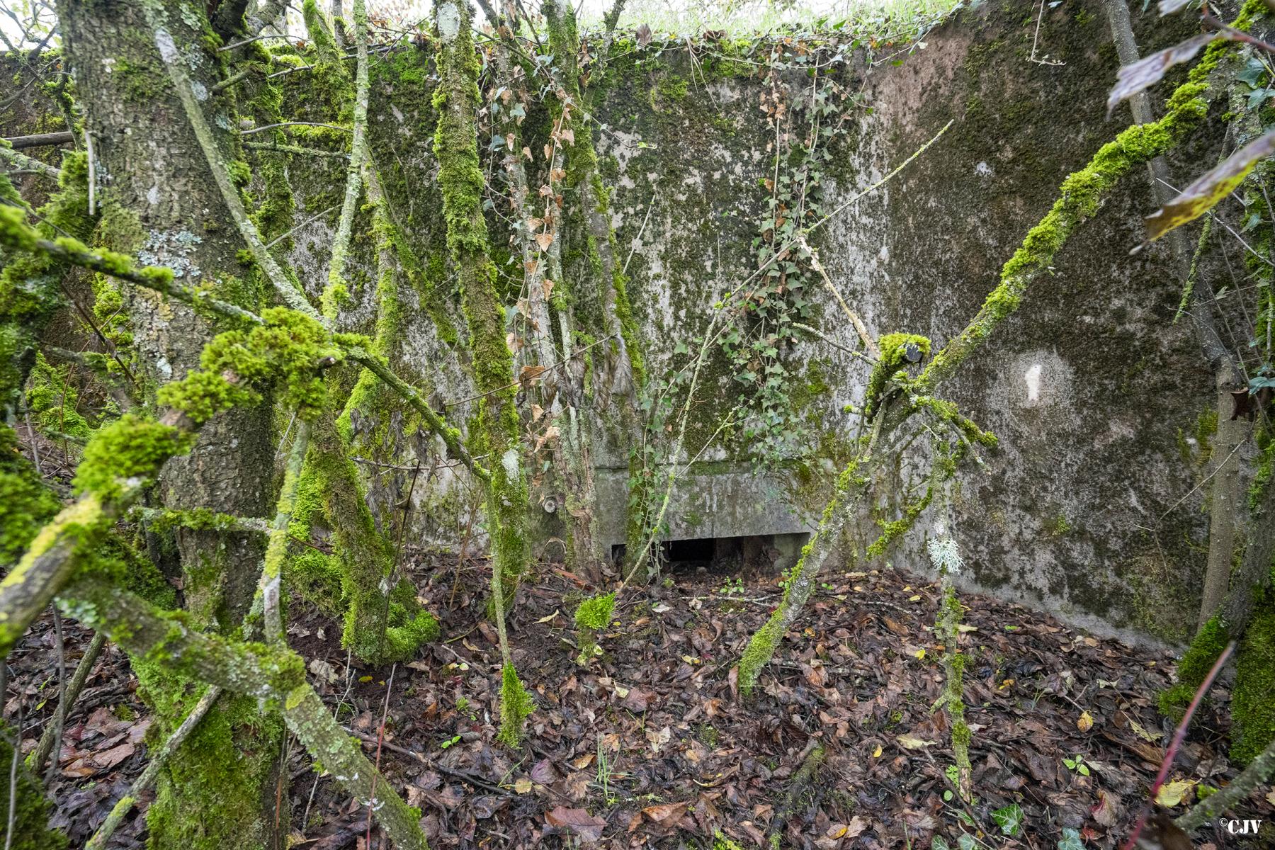 Ligne Maginot - BB307 - (Blockhaus pour arme infanterie) -  - Lia VERMEULEN