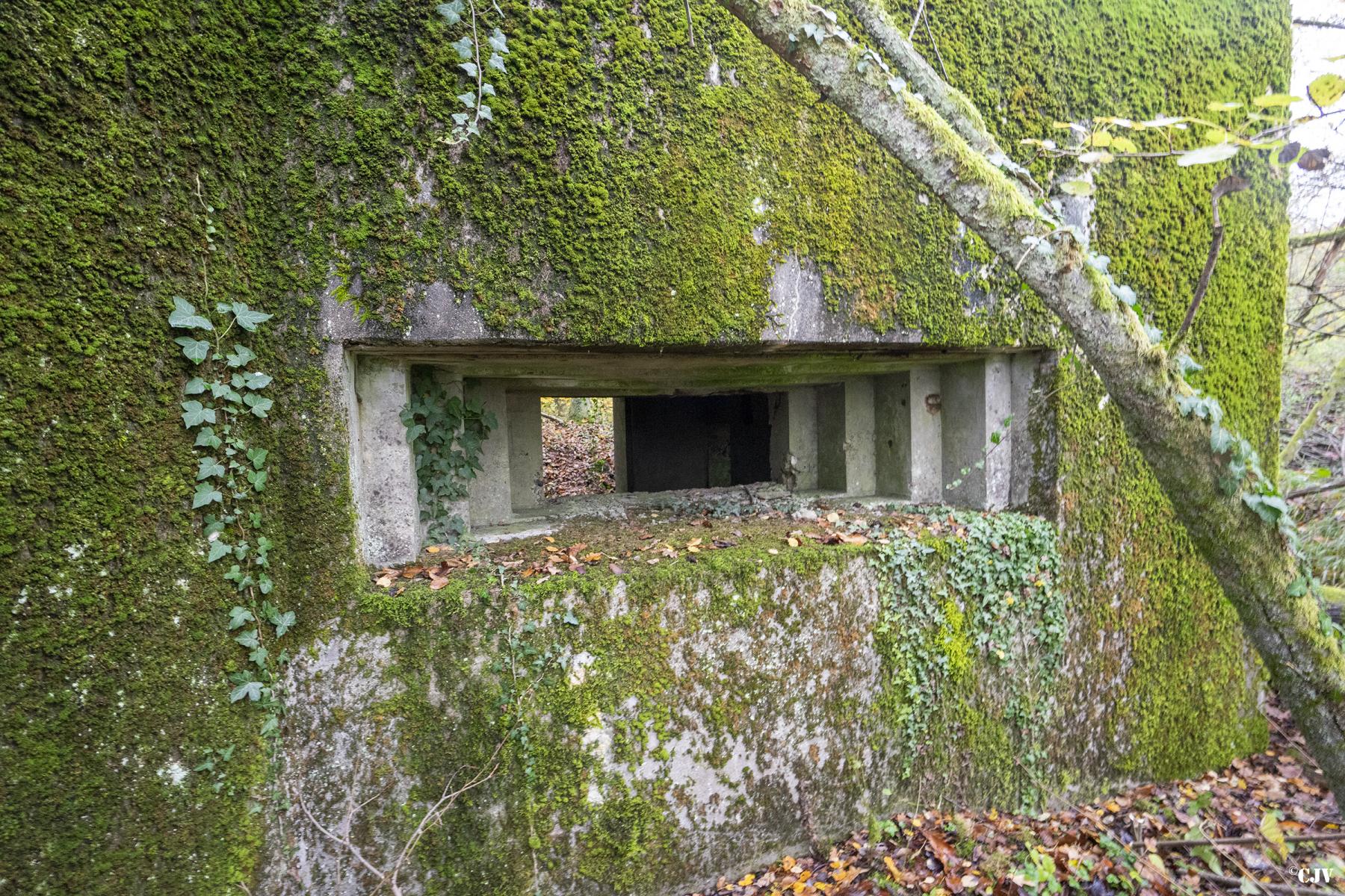 Ligne Maginot - BB339 - ROHRBUSCH - (Blockhaus pour canon) -  - Lia VERMEULEN