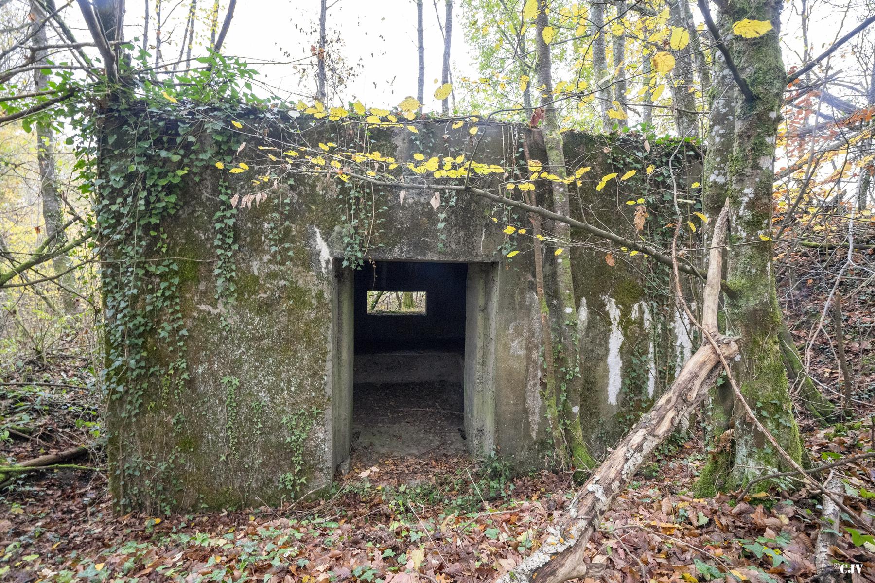 Ligne Maginot - BB339 - ROHRBUSCH - (Blockhaus pour canon) - L'entrée du materiel - Lia VERMEULEN