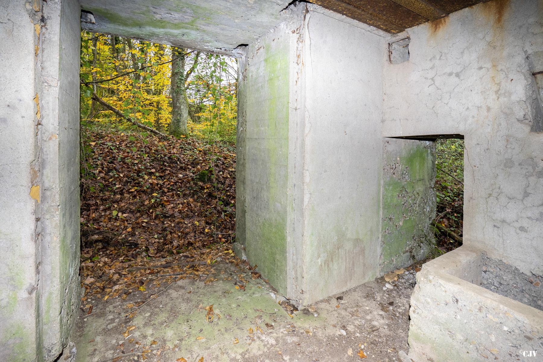Ligne Maginot - BB339 - ROHRBUSCH - (Blockhaus pour canon) - Les entrées - Lia VERMEULEN