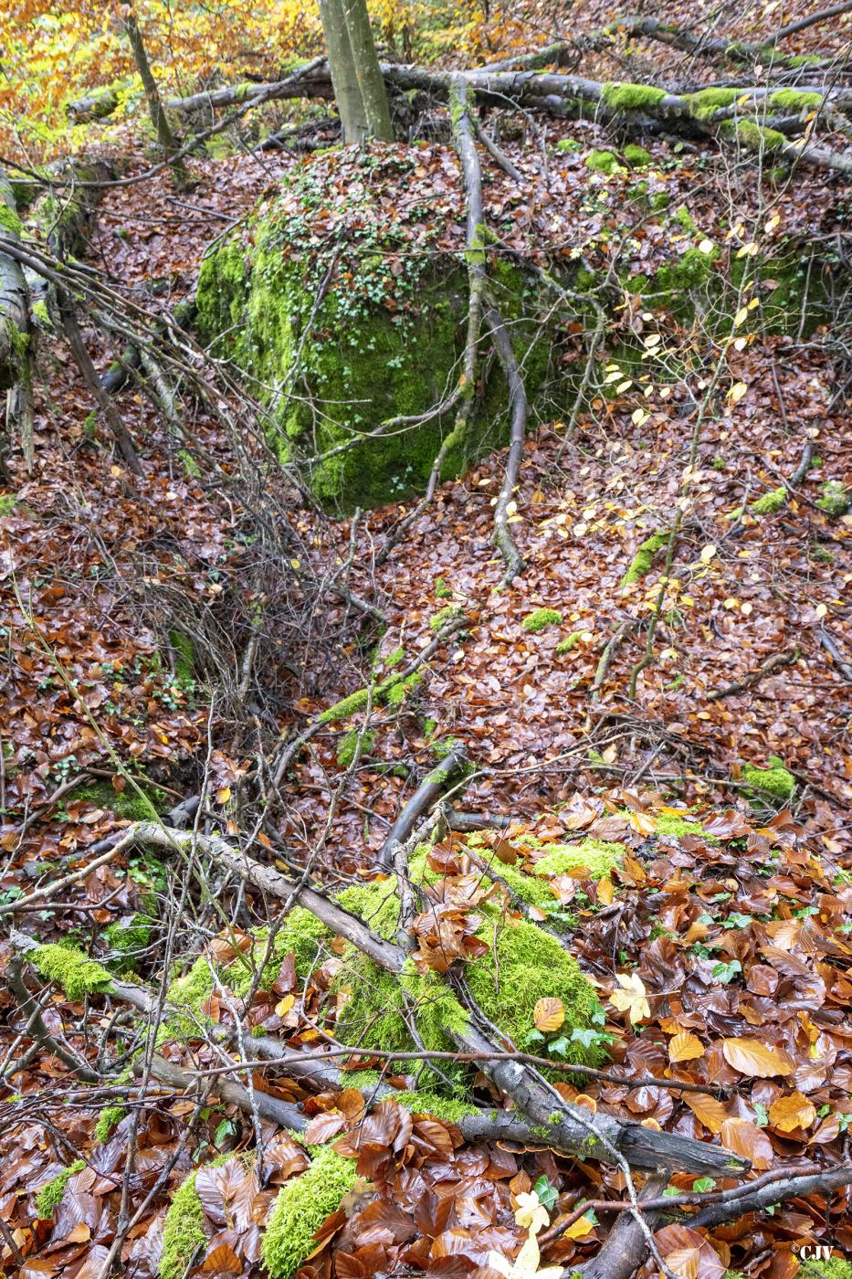 Ligne Maginot - BB358 - (Blockhaus pour canon) -  - Lia VERMEULEN