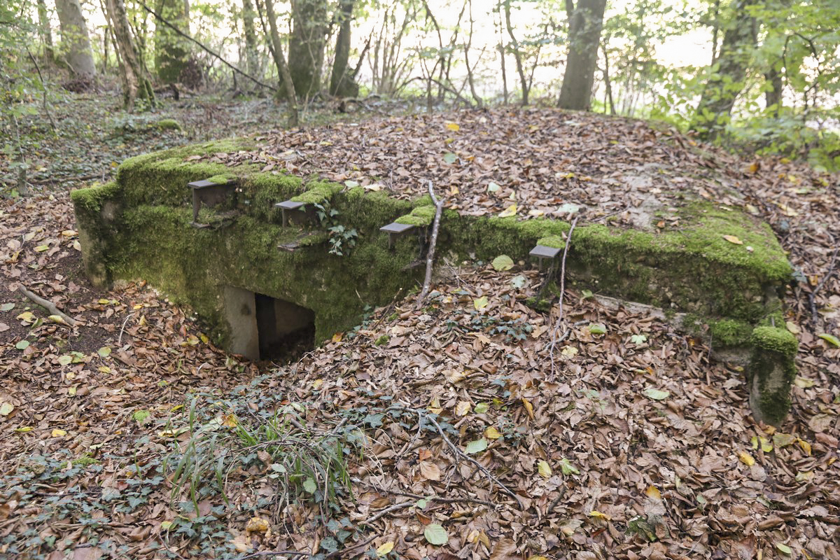 Ligne Maginot - SCHESSEL 1 - (Blockhaus pour arme infanterie) - L'entrée - Alain Perouffe