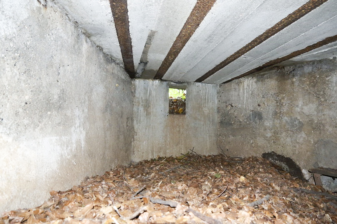 Ligne Maginot - SCHESSEL 1 - (Blockhaus pour arme infanterie) -  - Alain Perouffe