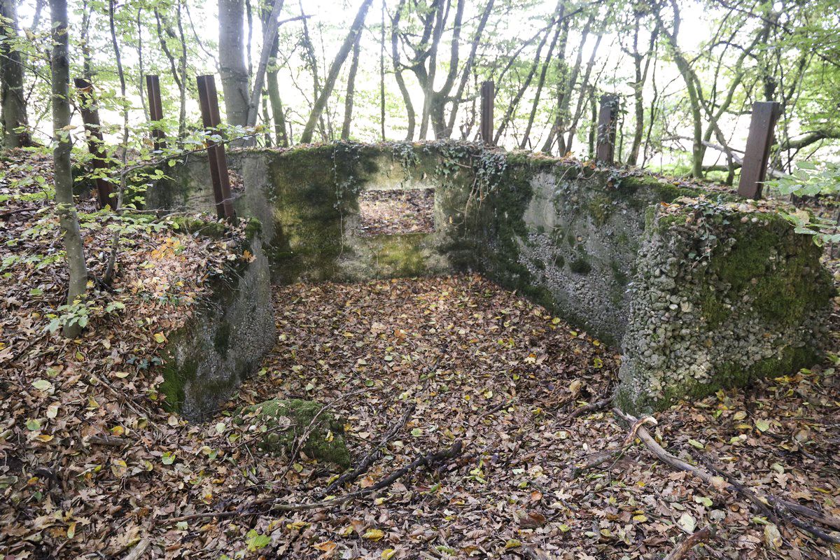 Ligne Maginot - SCHESSEL 2 - (Blockhaus pour arme infanterie) -  - Alain Perouffe