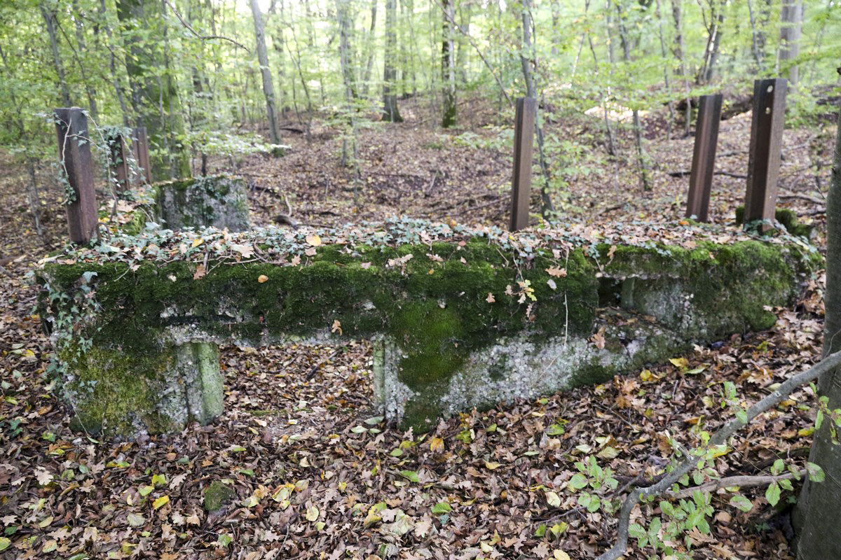 Ligne Maginot - SCHESSEL 2 - (Blockhaus pour arme infanterie) -  - Alain Perouffe