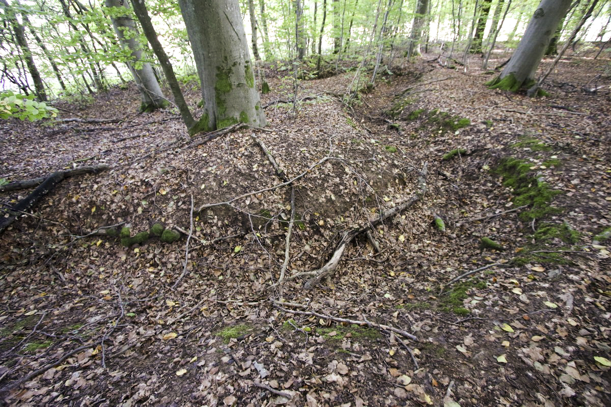 Ligne Maginot - SCHESSEL 2 - (Blockhaus pour arme infanterie) - Tranchées dans le secteur, liaison ou combat - Alain Perouffe