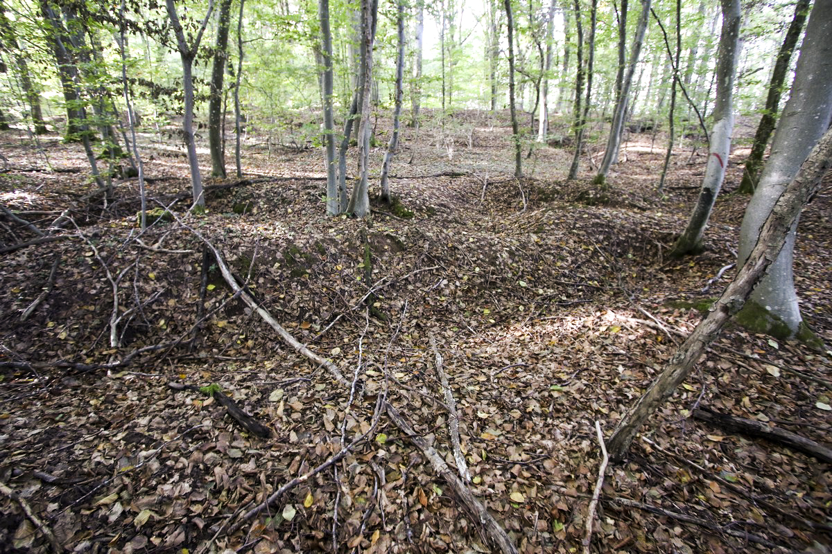 Ligne Maginot - SCHESSEL 2 - (Blockhaus pour arme infanterie) - Tranchées dans le secteur, liaison ou combat - Alain Perouffe