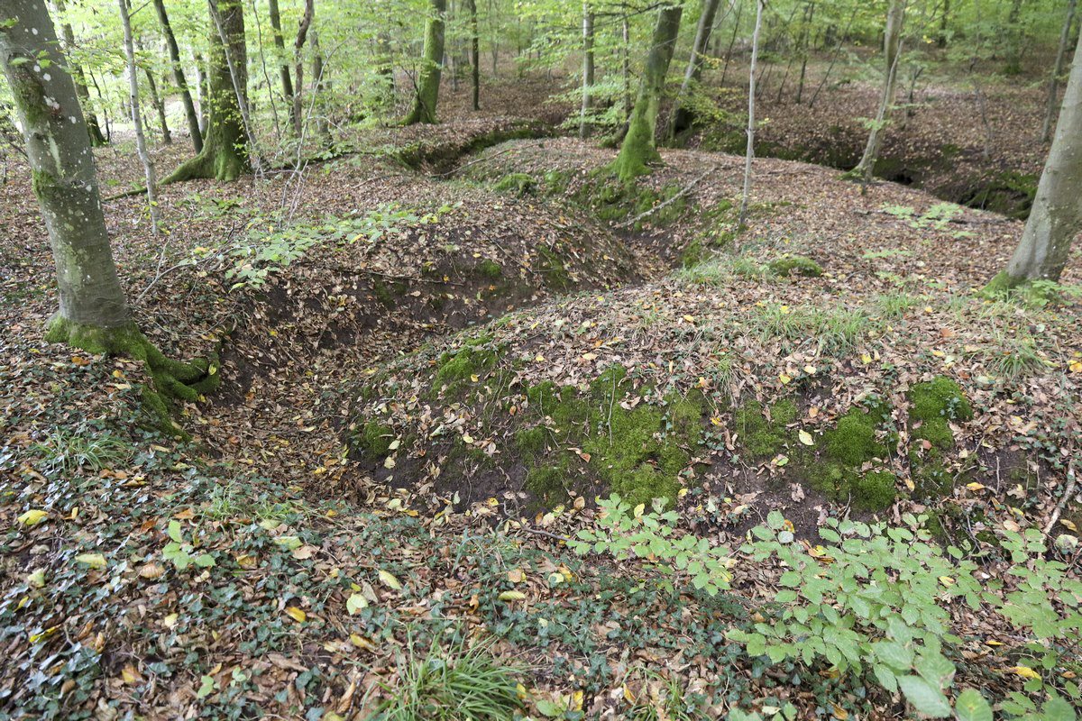 Ligne Maginot - SCHESSEL 2 - (Blockhaus pour arme infanterie) - Tranchées dans le secteur, liaison ou combat - Alain Perouffe