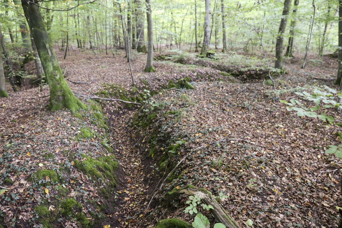 Ligne Maginot - SCHESSEL 2 - (Blockhaus pour arme infanterie) - Tranchées dans le secteur, liaison ou combat - Alain Perouffe