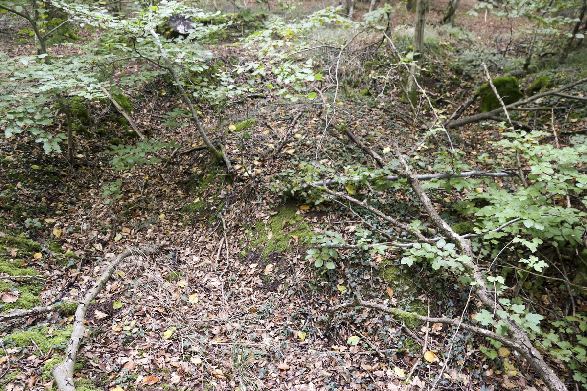 Ligne Maginot - SCHESSEL 2 - (Blockhaus pour arme infanterie) - Emplacement de tir complémentaire, ou éventuellement fouille - Alain Perouffe