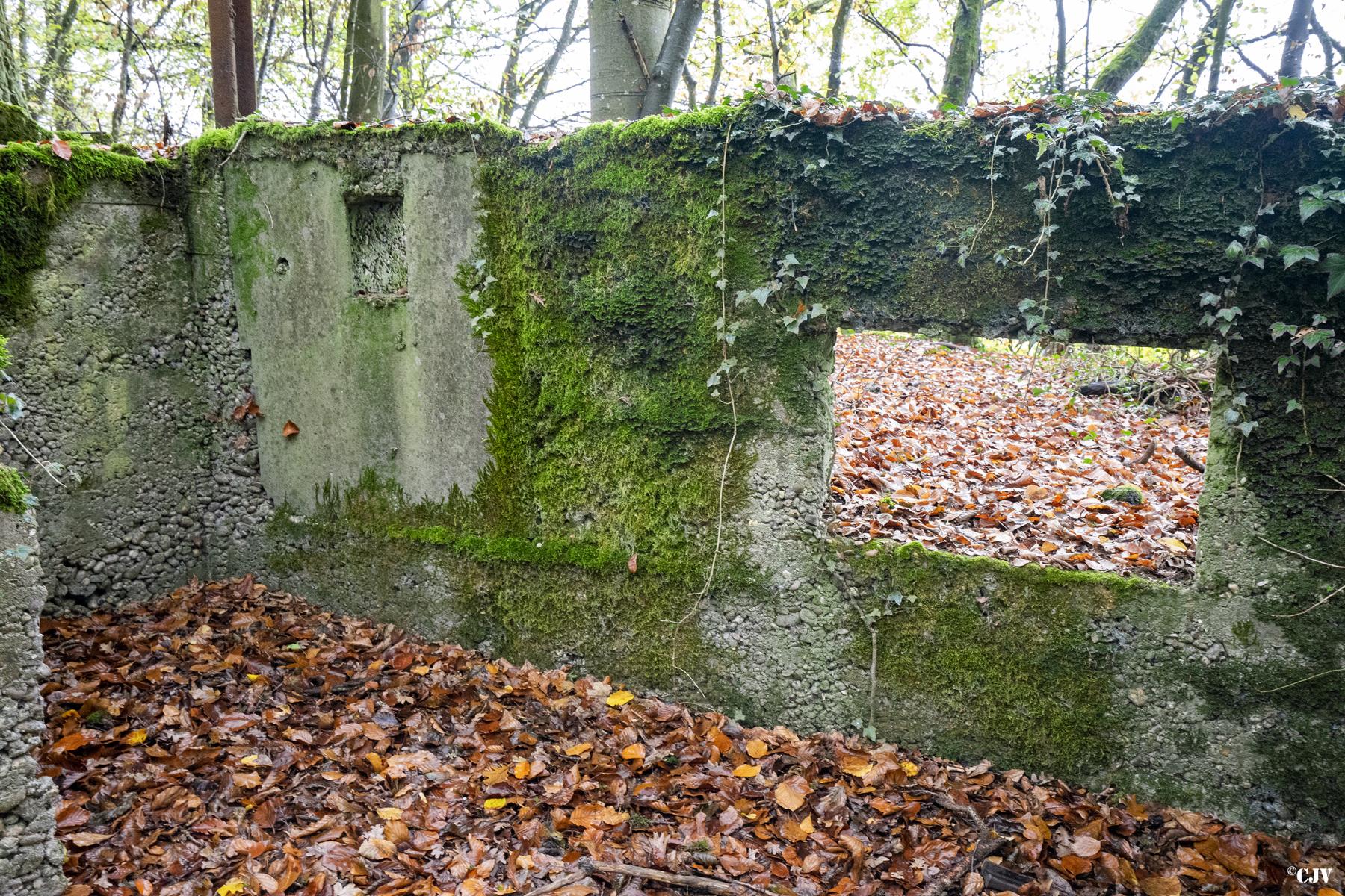 Ligne Maginot - SCHESSEL 2 - (Blockhaus pour arme infanterie) -  - Lia VERMEULEN