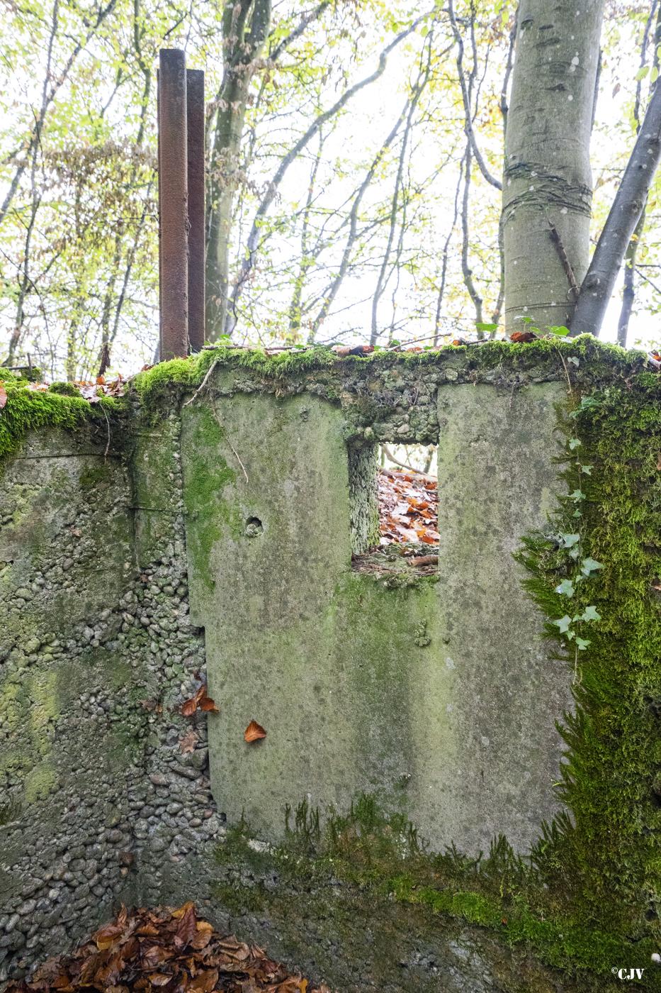 Ligne Maginot - SCHESSEL 2 - (Blockhaus pour arme infanterie) -  - Lia VERMEULEN