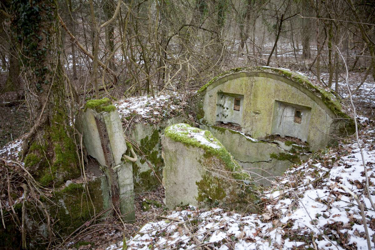 Ligne Maginot - BOIS DE COUME 3 - (Abri) - 