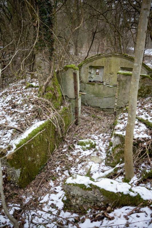 Ligne Maginot - BOIS DE COUME 3 - (Abri) - 