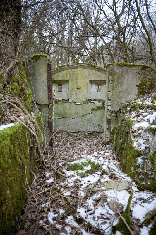 Ligne Maginot - BOIS DE COUME 3 - (Abri) - 