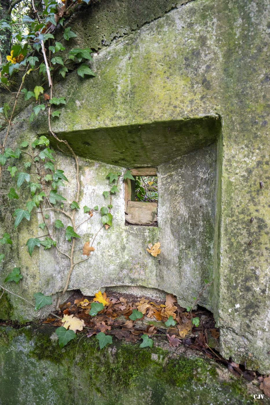 Ligne Maginot - BOIS DE COUME 3 - (Abri) -  - Lia VERMEULEN