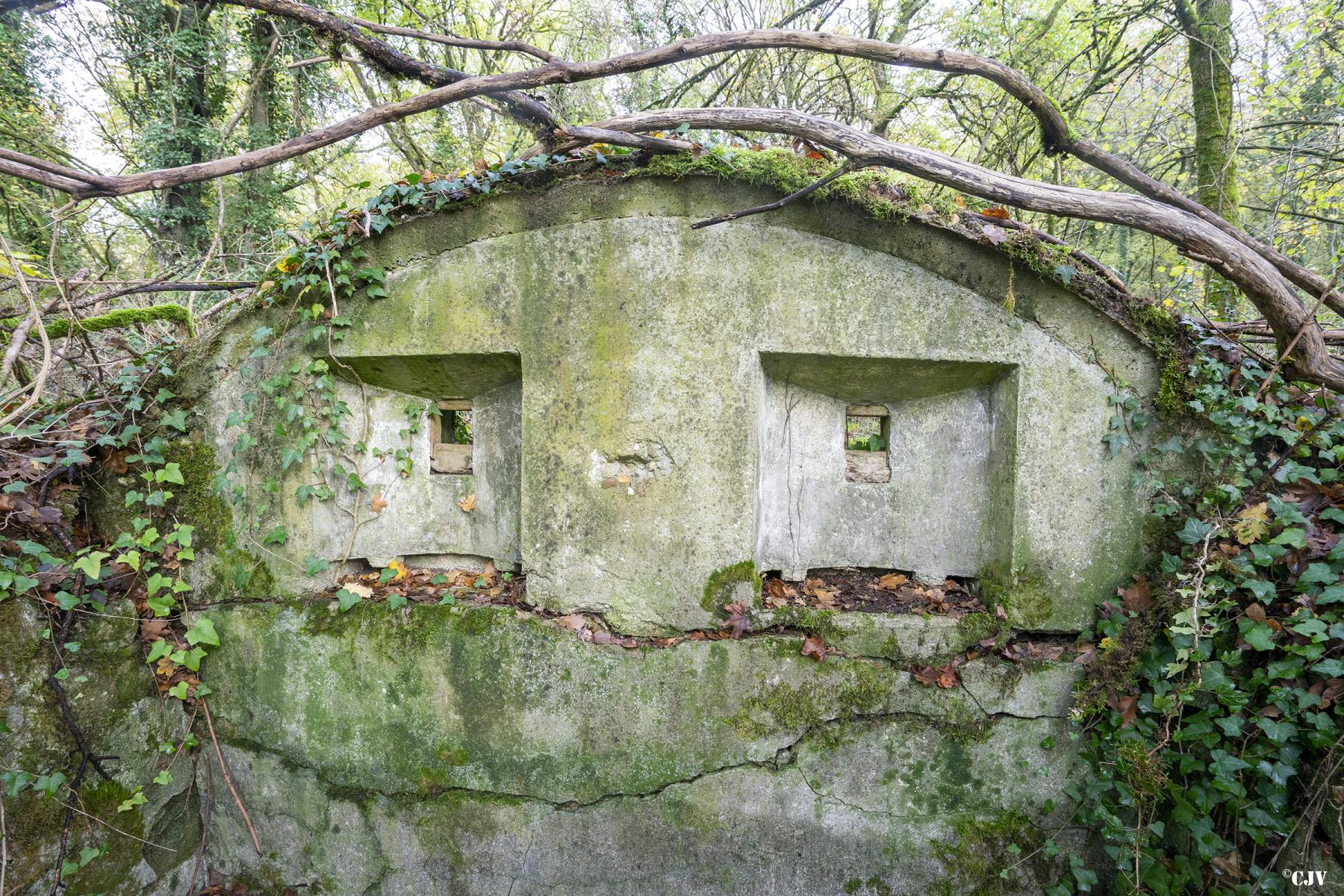 Ligne Maginot - BOIS DE COUME 3 - (Abri) -  - Lia VERMEULEN