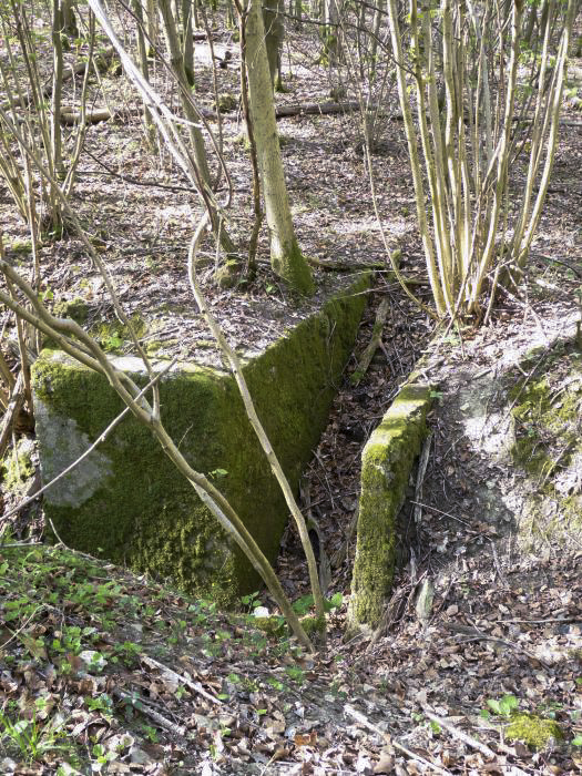 Ligne Maginot - BOIS DE COUME 2 (6° CIE DU II/160° RIF) - (PC de Sous-Quartier) - L'accès au PC