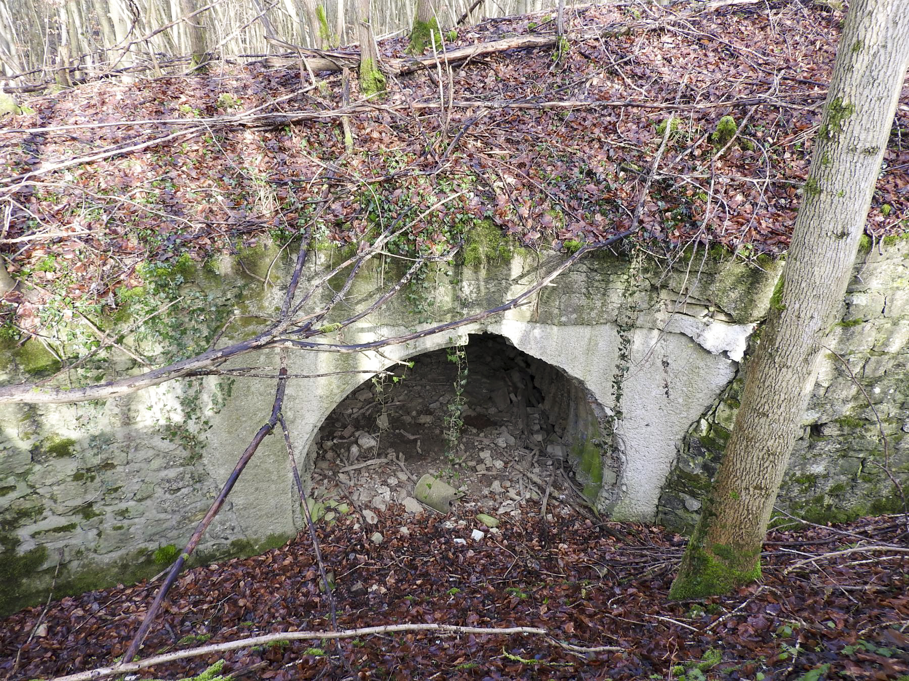 Ligne Maginot - BOIS DE COUME 2 (6° CIE DU II/160° RIF) - (PC de Sous-Quartier) - La première alvéole.