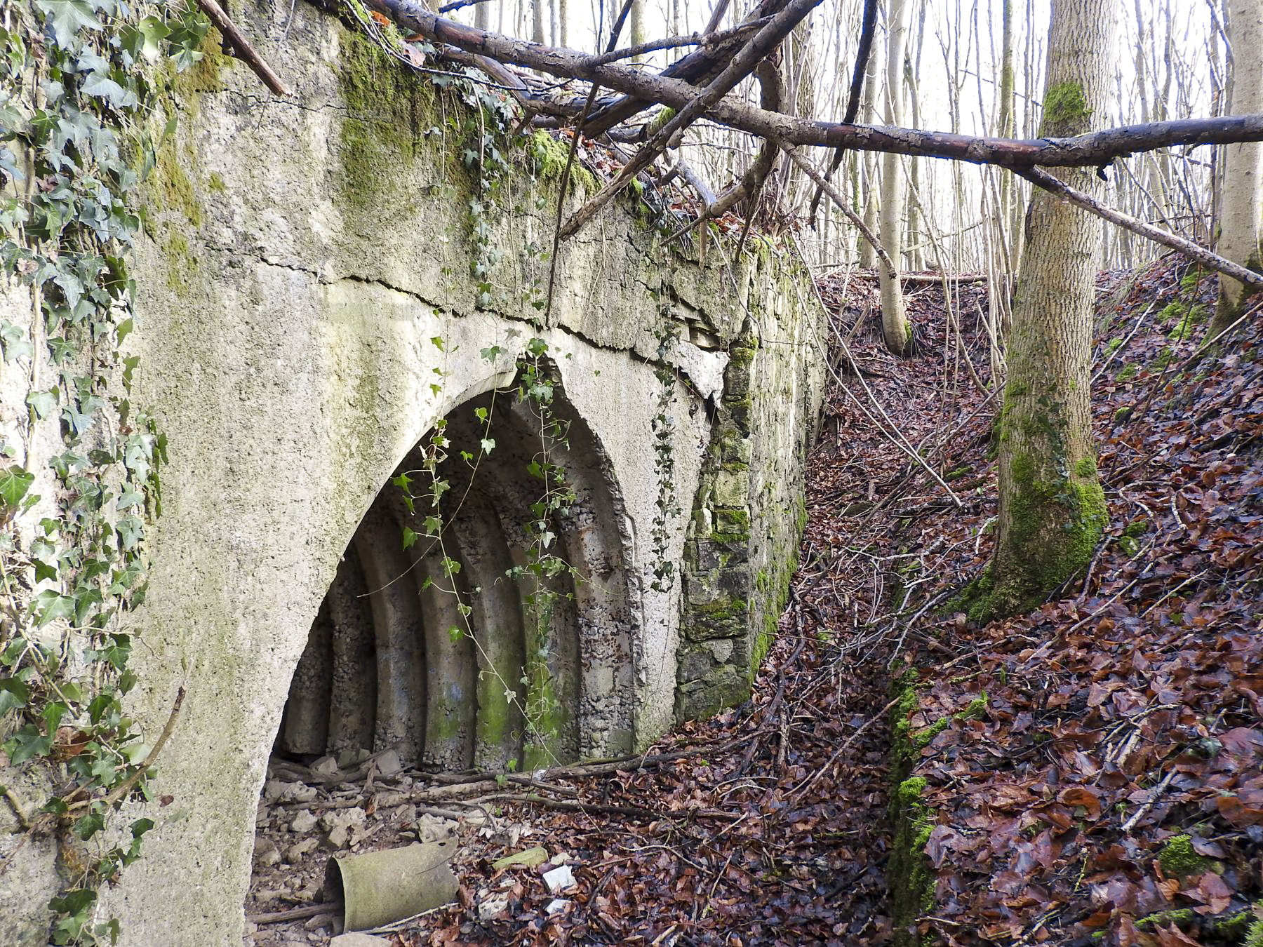 Ligne Maginot - BOIS DE COUME 2 (6° CIE DU II/160° RIF) - (PC de Sous-Quartier) - La deuxième alvéole.