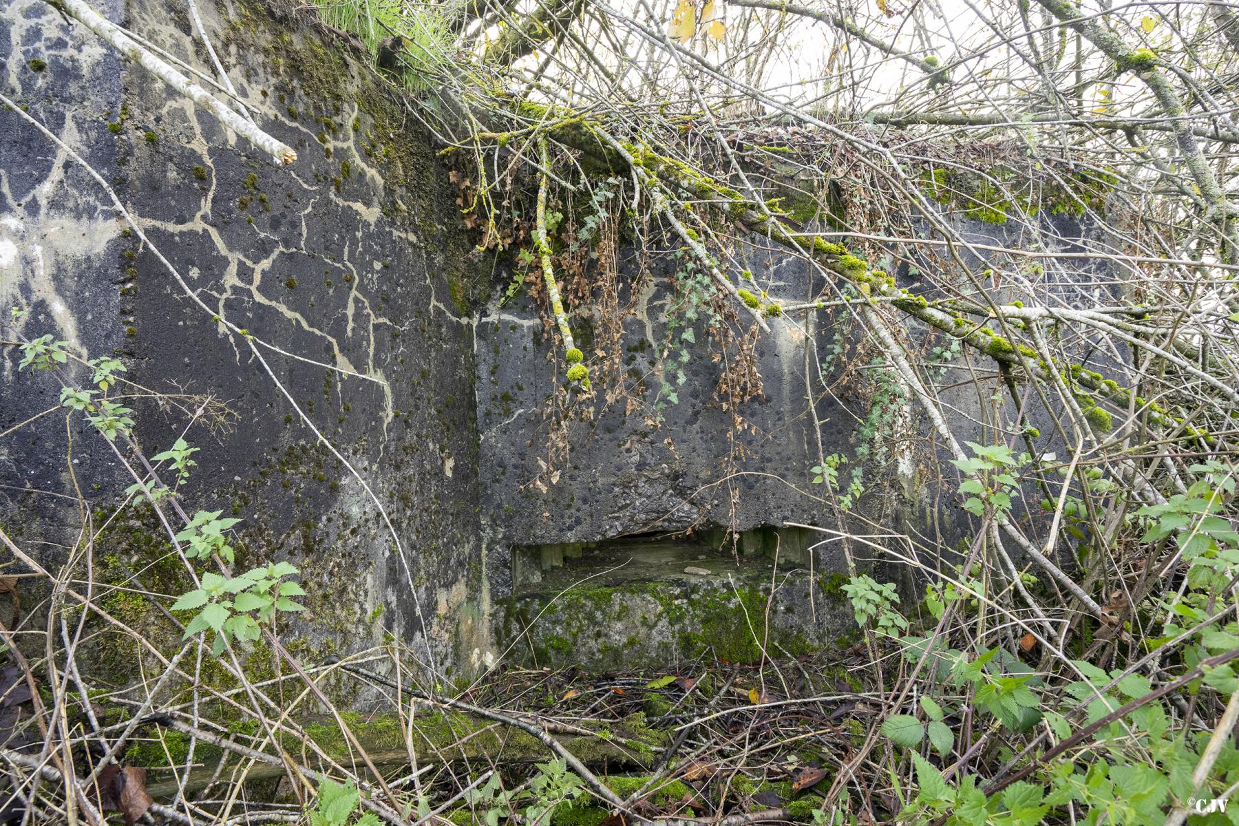 Ligne Maginot - BOIS DE KERFENT NORD 1 - (Blockhaus pour arme infanterie) -  - Lia VERMEULEN