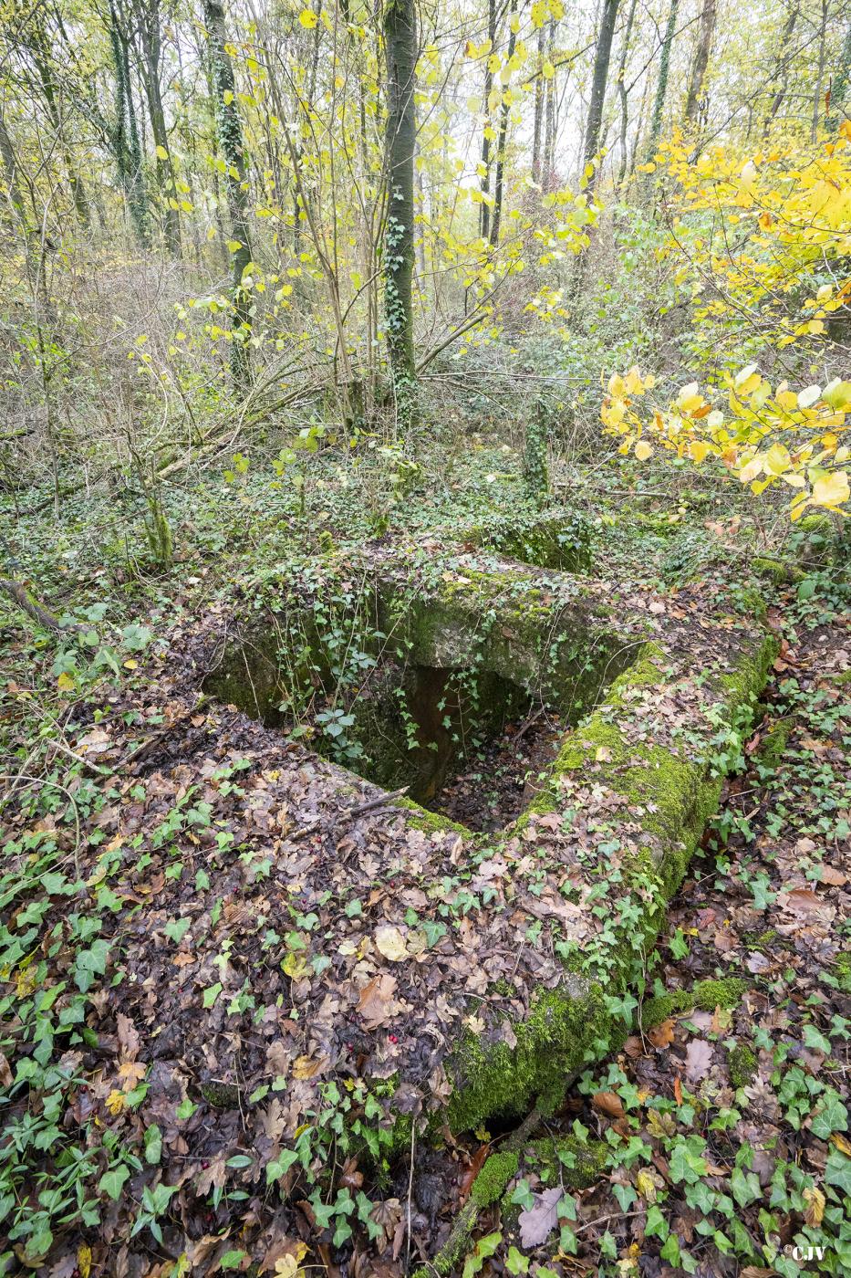 Ligne Maginot - MEDERCHEN NORD - (Observatoire indéterminé) - Seul la parti bétonné reste - Lia VERMEULEN