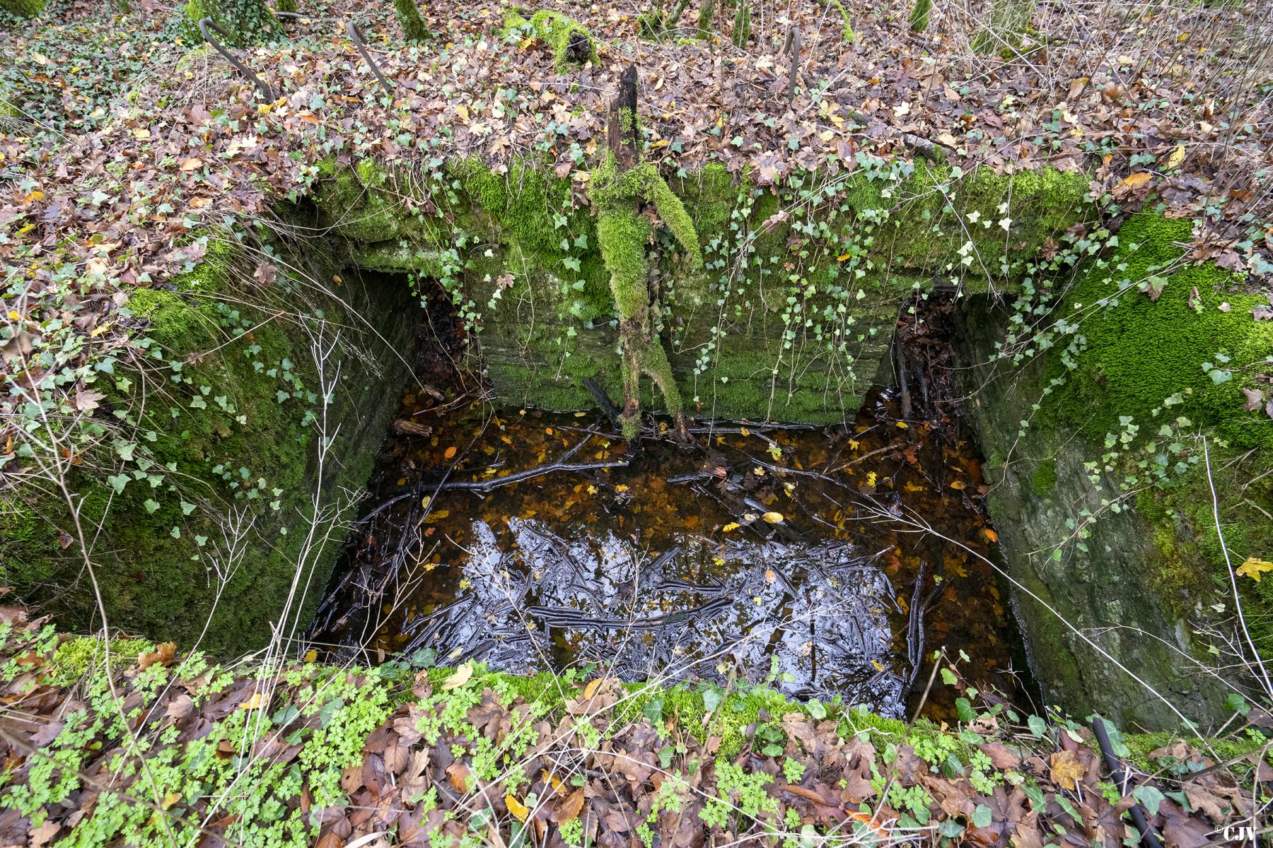 Ligne Maginot - MEDERCHEN NORD 2 - (Blockhaus pour arme infanterie) -  - Lia VERMEULEN