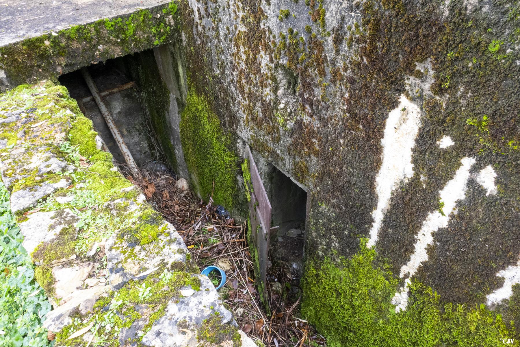 Ligne Maginot - ZIMMING NORD 1 - (Blockhaus pour arme infanterie) - L'entrée - Lia VERMEULEN