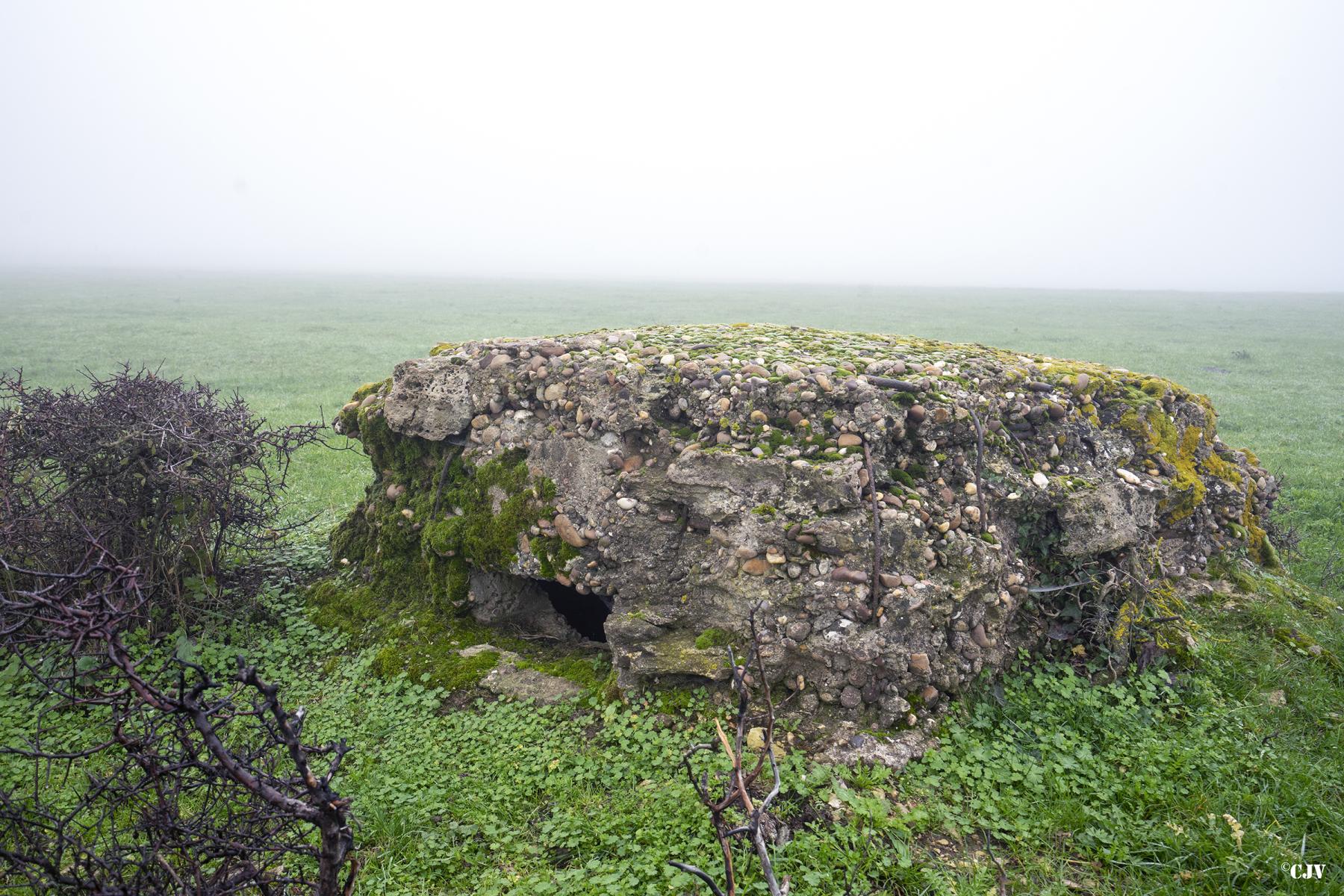 Ligne Maginot - GRUNDKAUL SUD 2 - (Observatoire d'infanterie) -  - Lia VERMEULEN