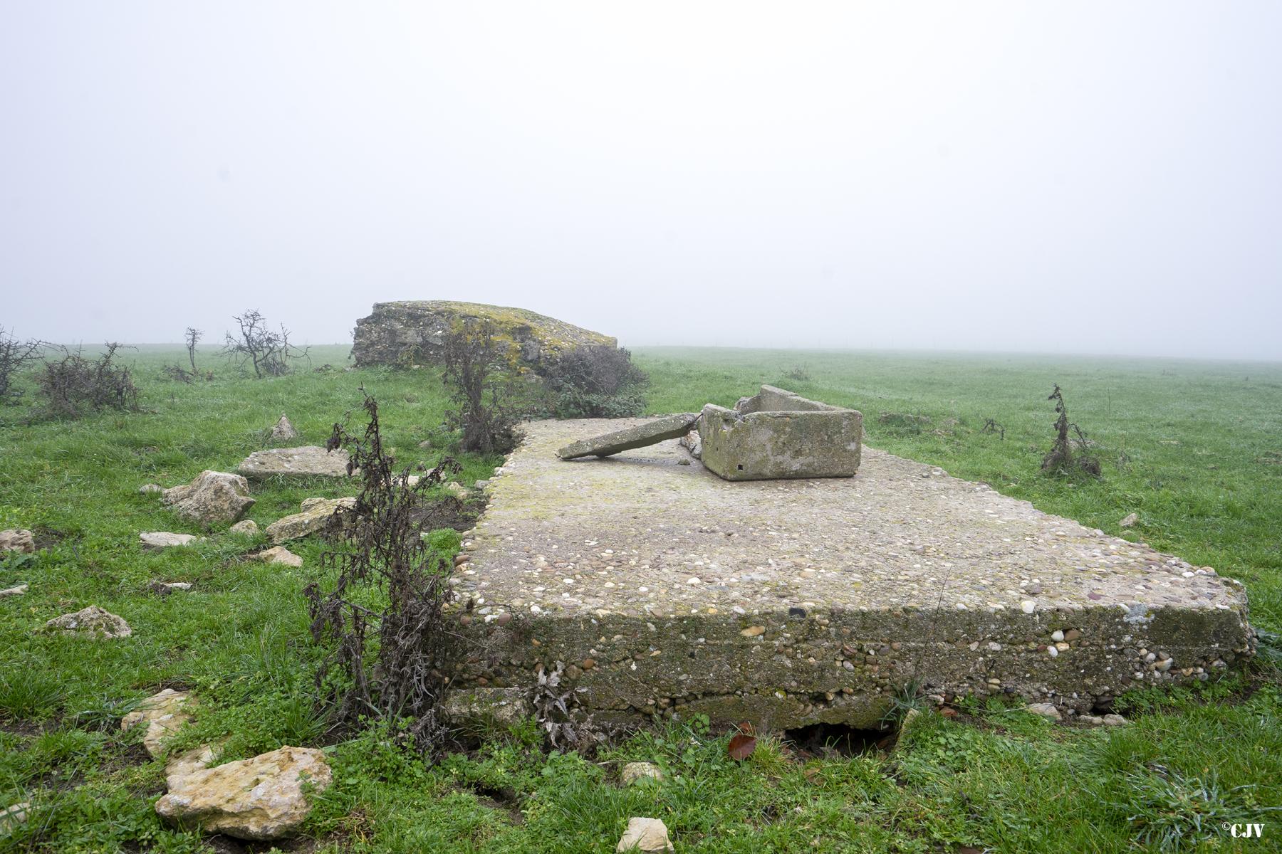 Ligne Maginot - GRUNDKAUL SUD 2 - (Observatoire d'infanterie) - Quelques mètres plus loin, le toit d'un petit abri est visible - Lia VERMEULEN