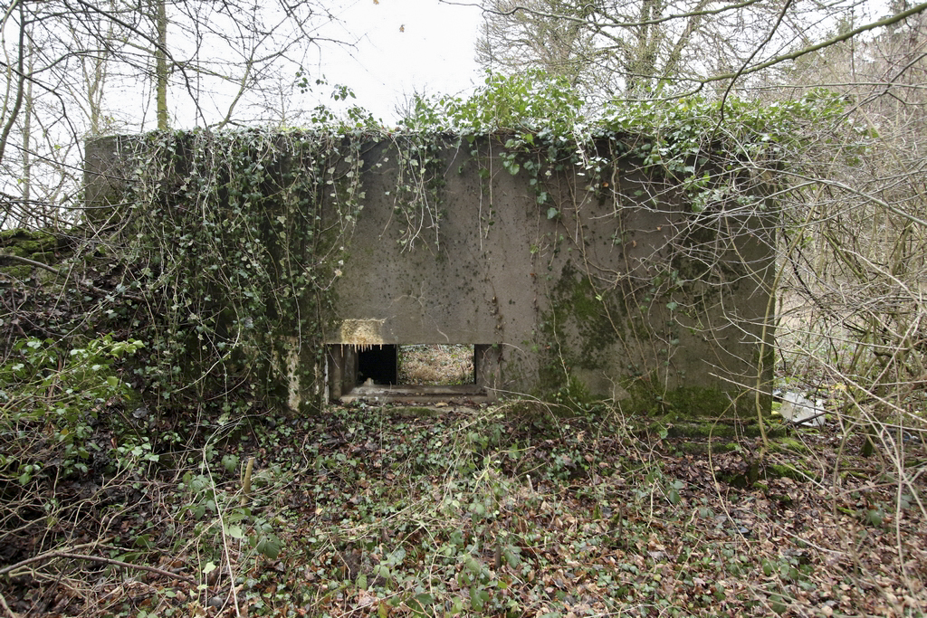 Ligne Maginot - BB144- SCHIDELBERG - (Blockhaus pour canon) - 