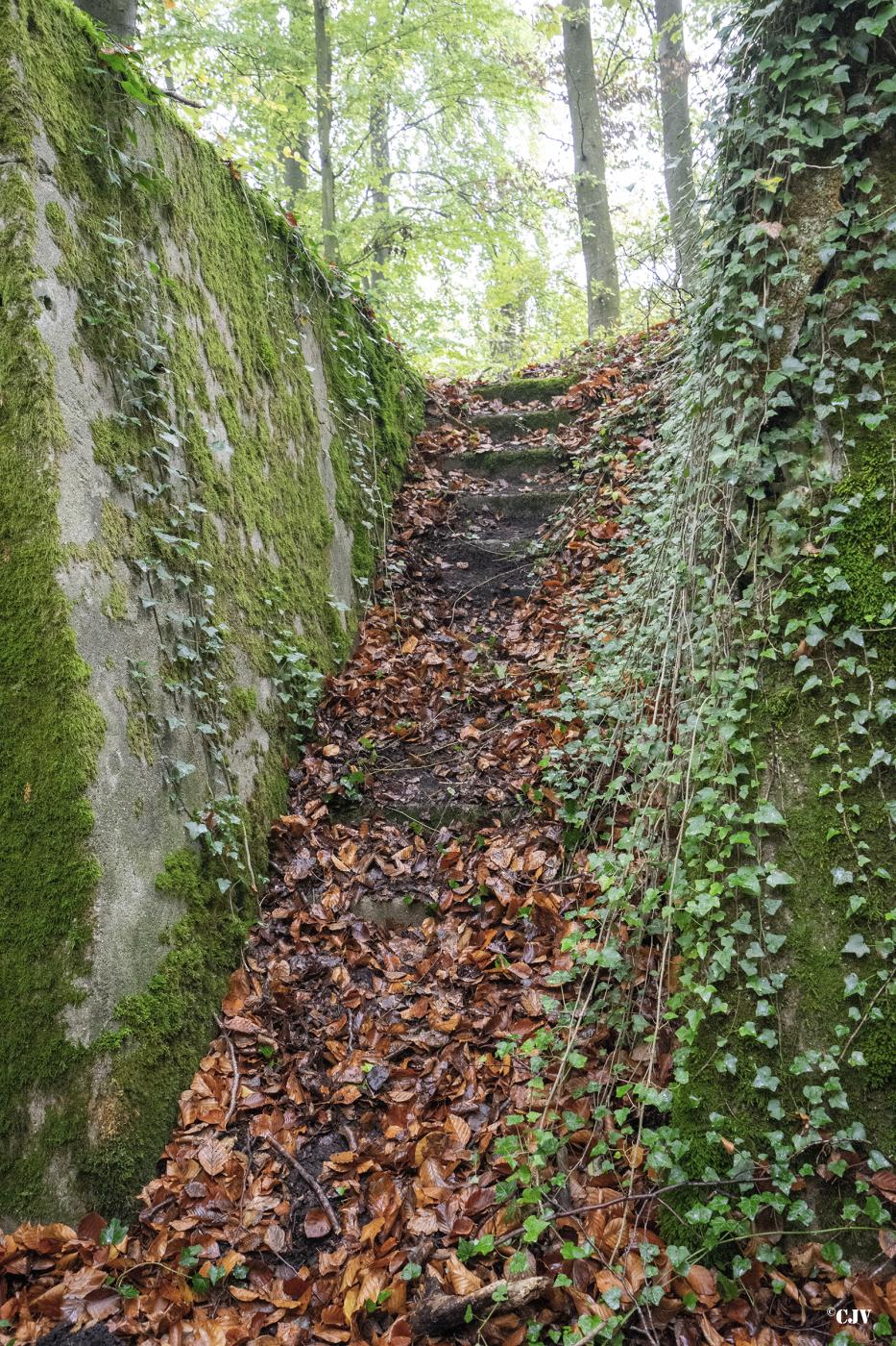 Ligne Maginot - SCHIDELBERG (QUARTIER TéTERCHEN - II/161° RIF) - (PC de Quartier) - L'escalier donnant accès à la courette - Lia VERMEULEN