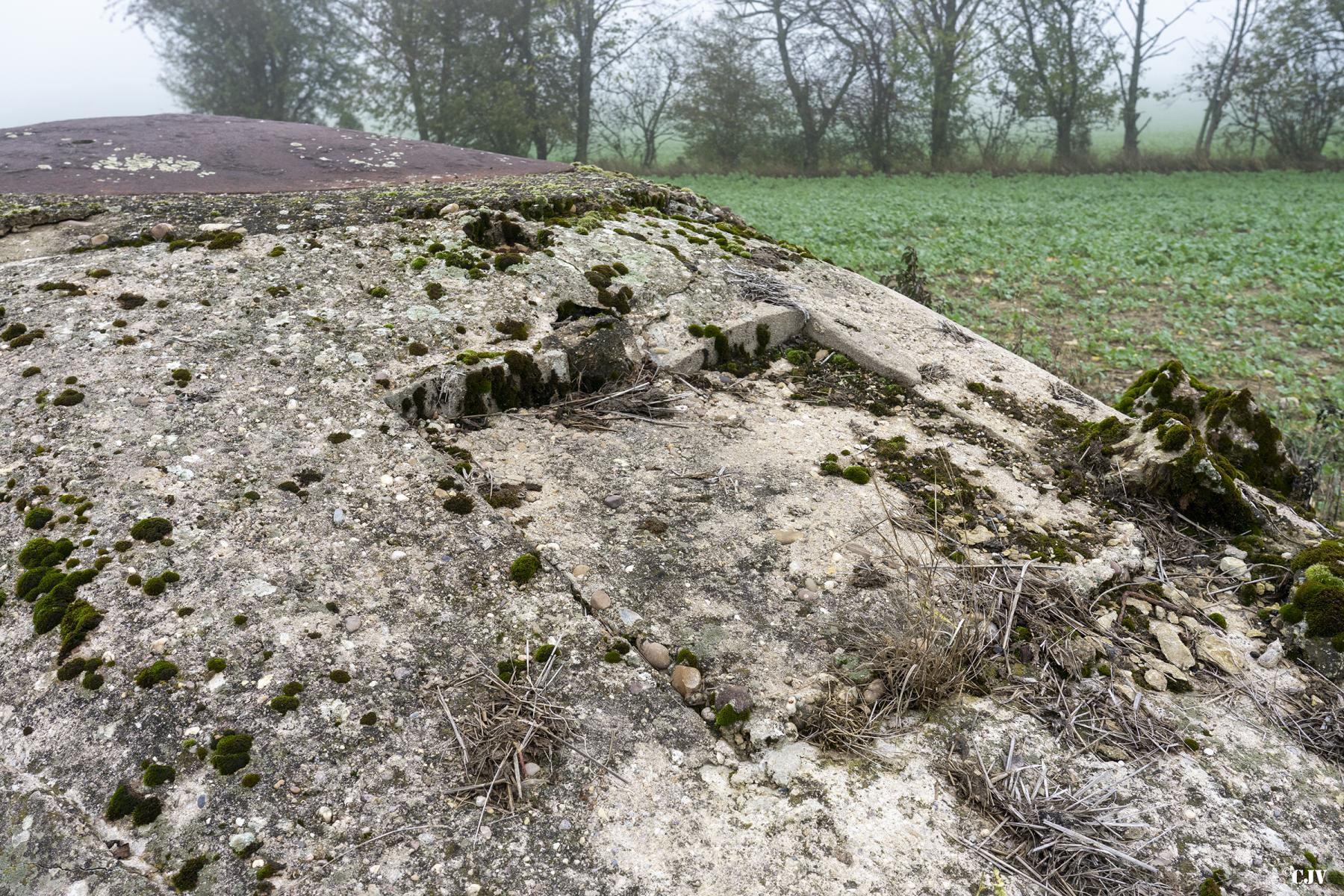 Ligne Maginot - BCP1 - MUEHLENWEG EST - (Blockhaus pour arme infanterie) - L'entrée est fermé - Lia VERMEULEN
