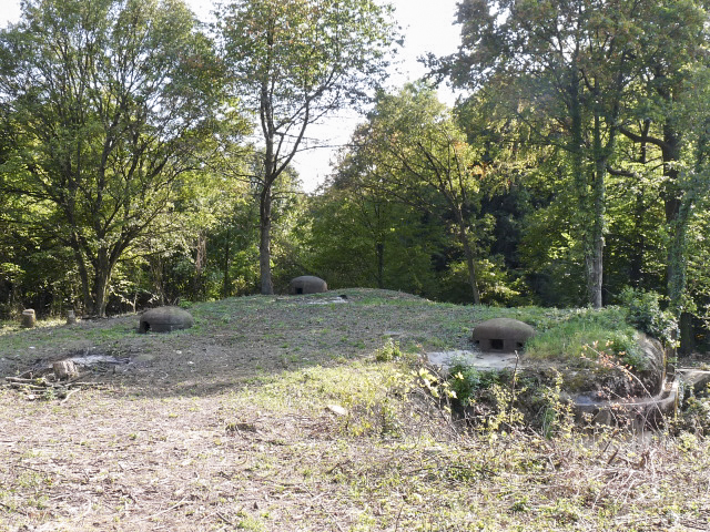 Ligne Maginot - BOIS DE LAUDREFANG NORD - C76 - (Casemate d'infanterie - Simple) - Les dessus