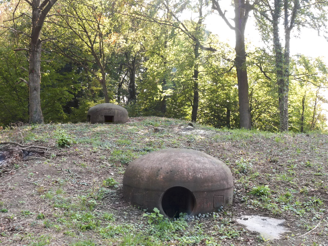 Ligne Maginot - BOIS DE LAUDREFANG NORD - C76 - (Casemate d'infanterie - Simple) - Les dessus
Les deux cloches mitrailleuses et arme mixte