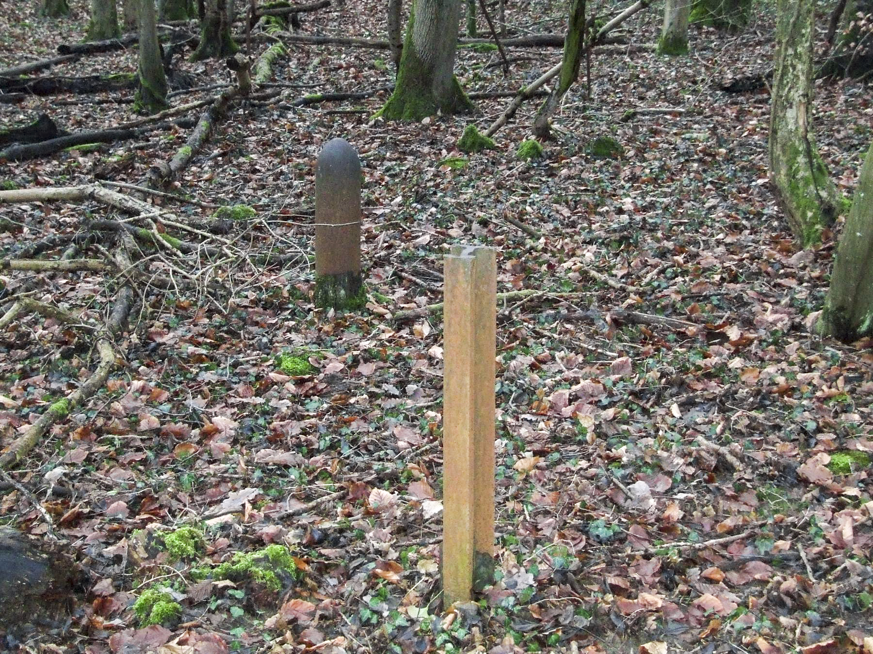 Ligne Maginot - BOIS DE LAUDREFANG NORD - C76 - (Casemate d'infanterie - Simple) - Vestiges du réseau anti-char près de la casemate