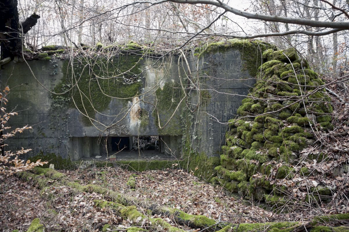 Ligne Maginot - AB38BIS - BOIS DE LAUDREFANG 5 - (Blockhaus pour canon) - 