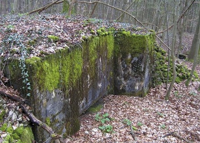 Ligne Maginot - Ab38 - BOIS de LAUDREFANG 6 (Blockhaus pour canon) - 
