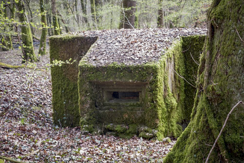 Ligne Maginot - BOIS DE TETING 2 - (Blockhaus pour arme infanterie) - 